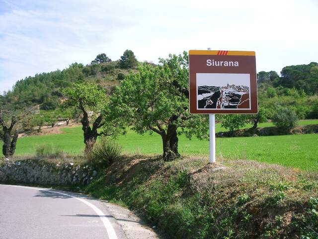 Image 37