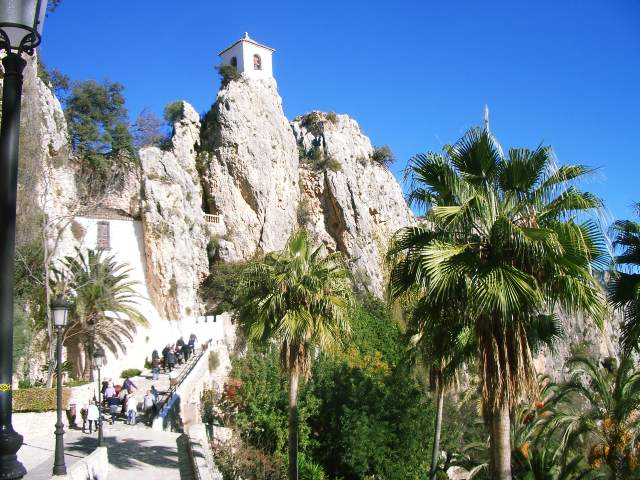 Image 7