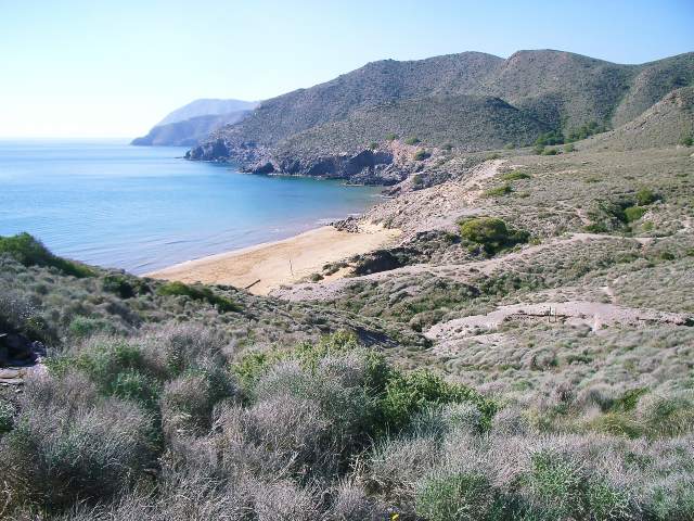 Image 18