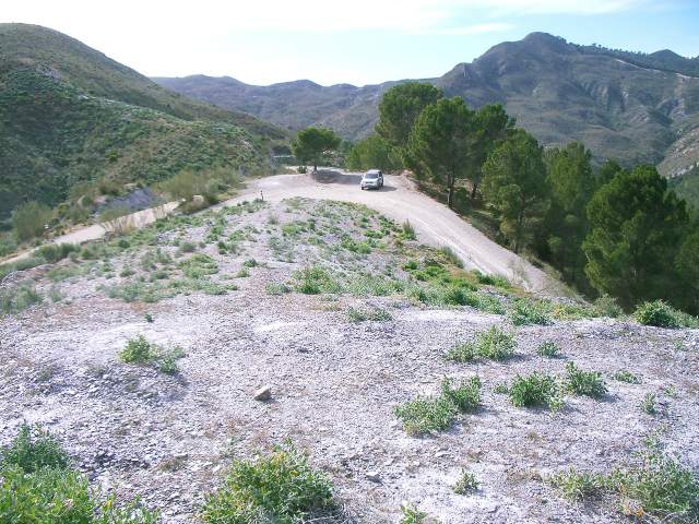 Image 31