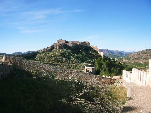 Image 12