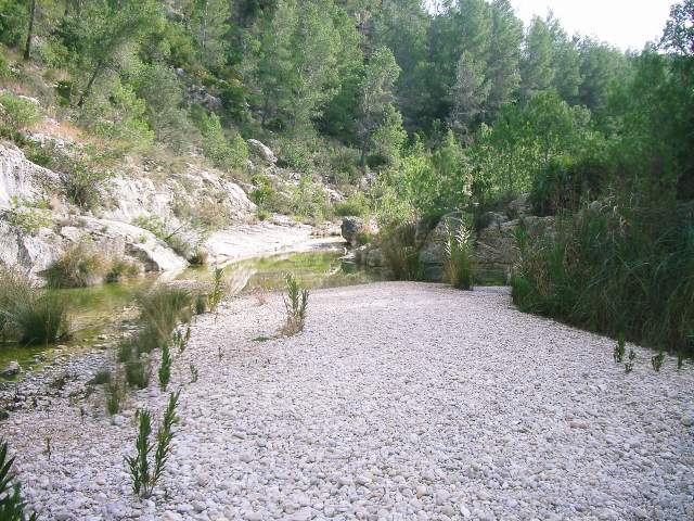 Image 21