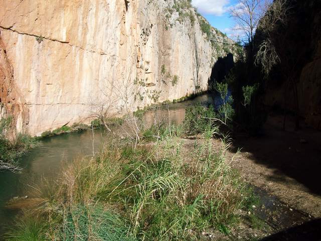 Image 35