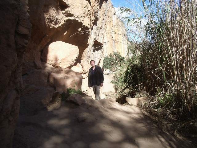 Image 36
