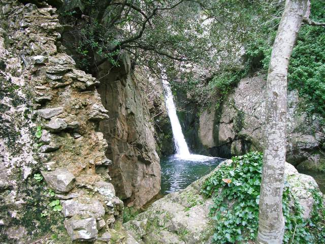 Image 14