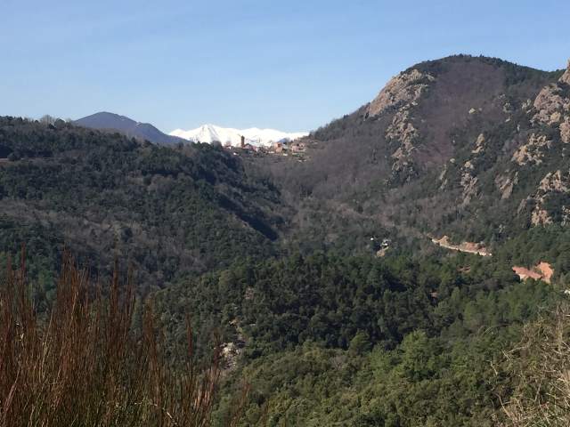Image 22
