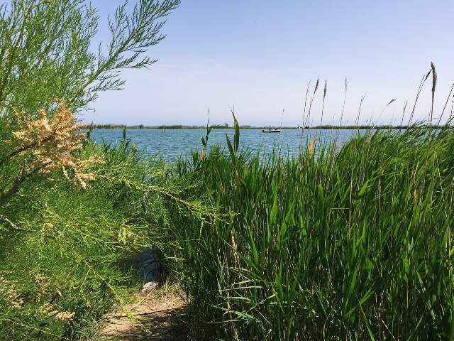Image 31