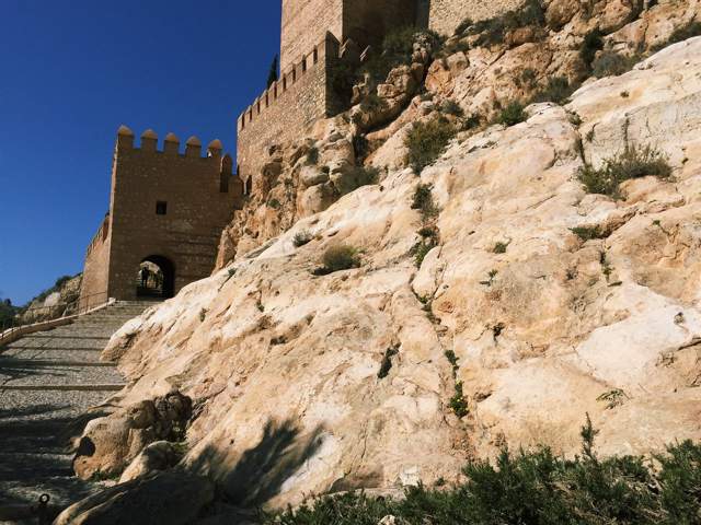 Image 14