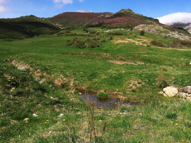 Image 32