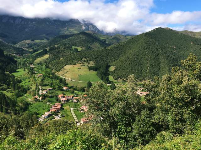 Image 33