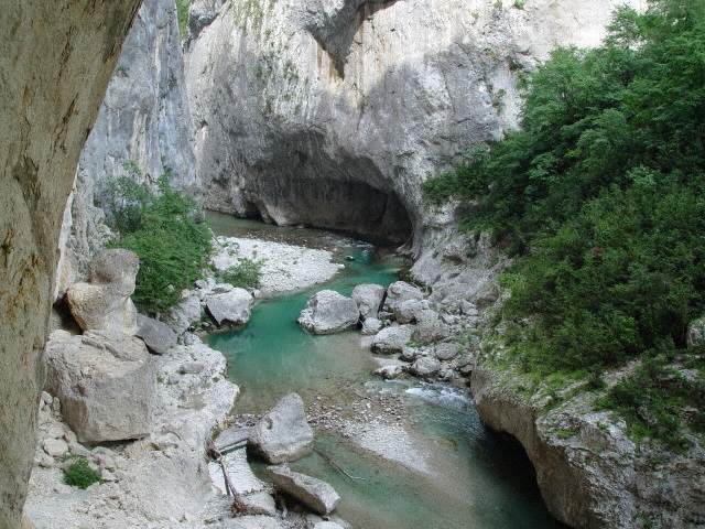 Image 14