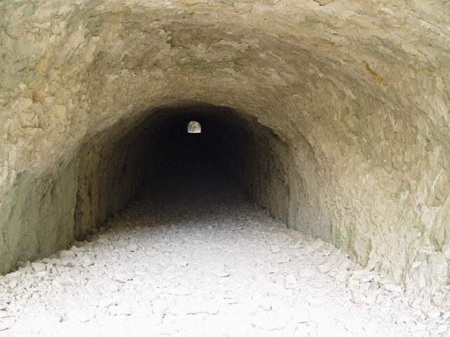 Image 15