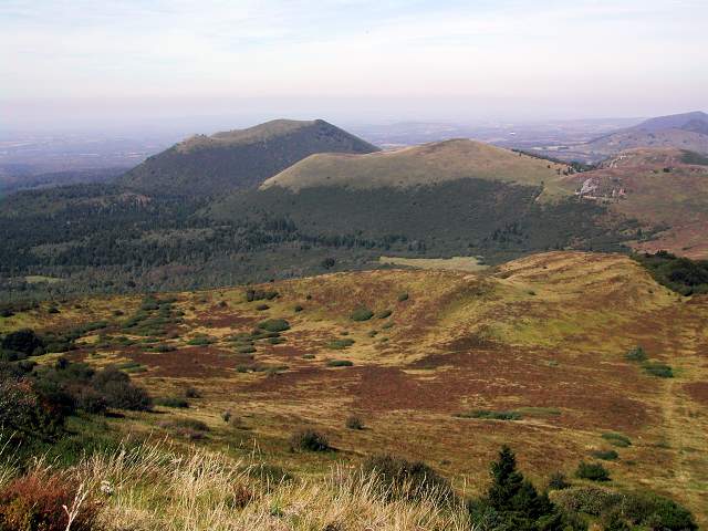 Image 14
