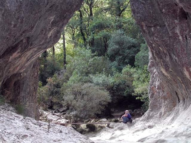 Image 12