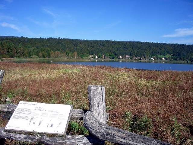 Image 17