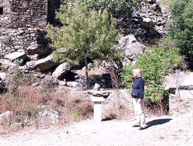 Image 38