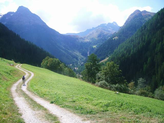Image 16