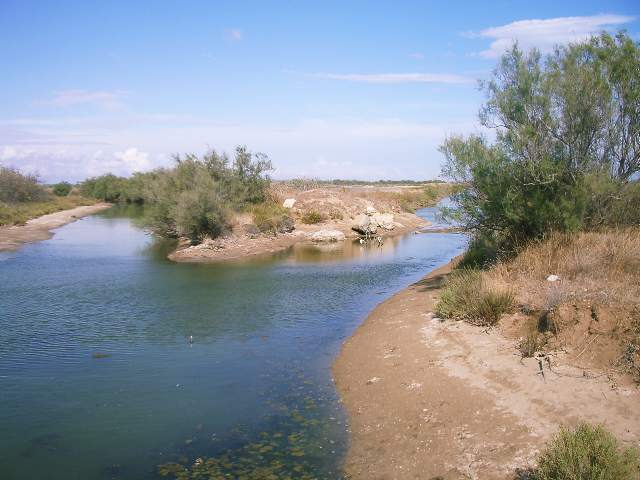 Image 20