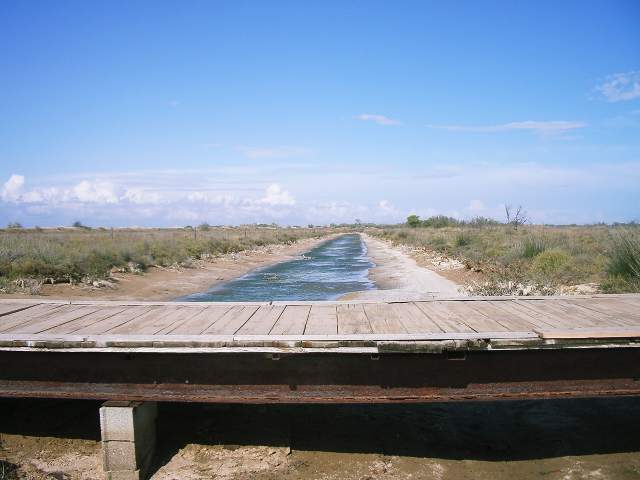 Image 21