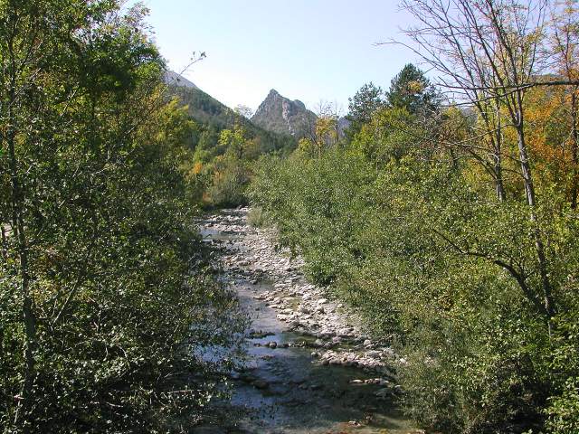 Image 29