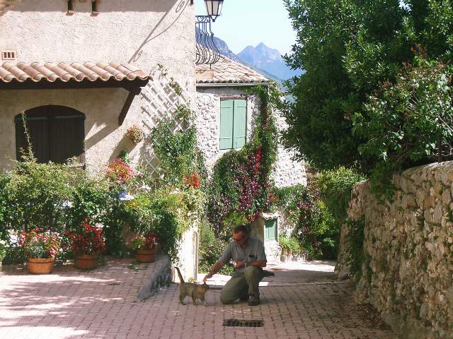 Image 30