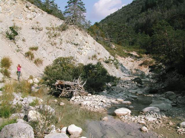 Image 31