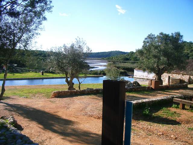 Image 12