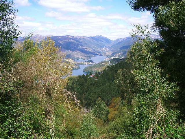 Image 35