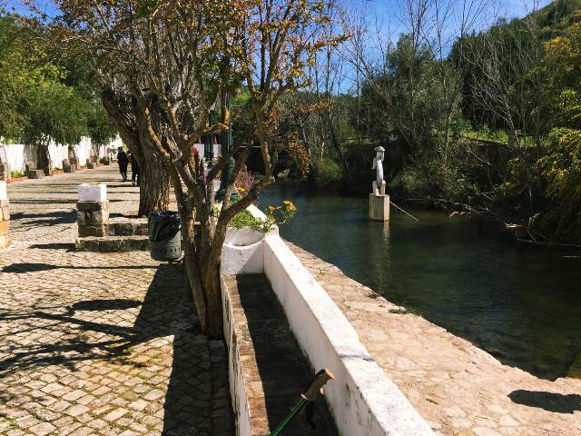 Image 22