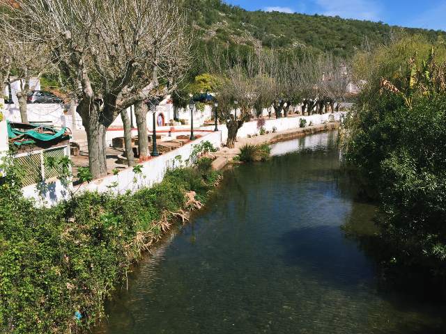 Image 23