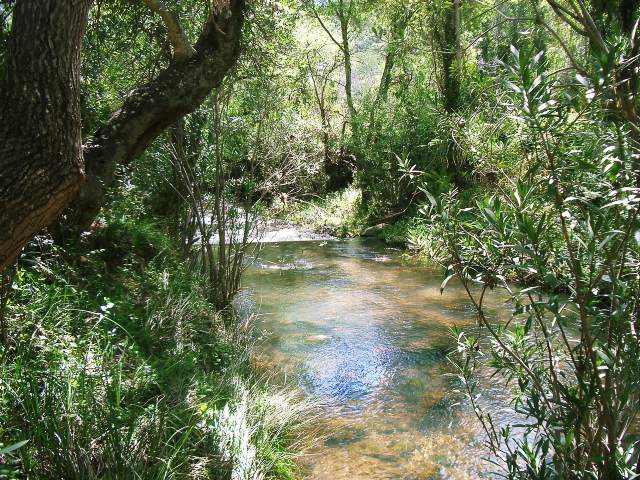 Image 24