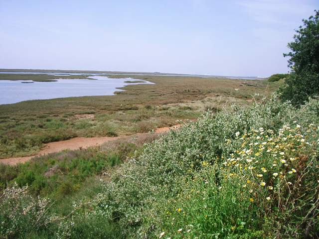 Image 32