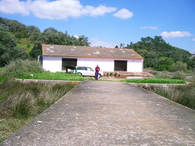 Image 11