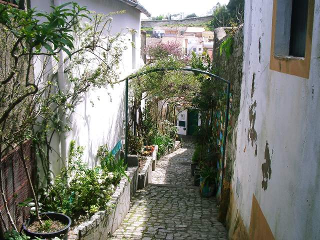 Image 19