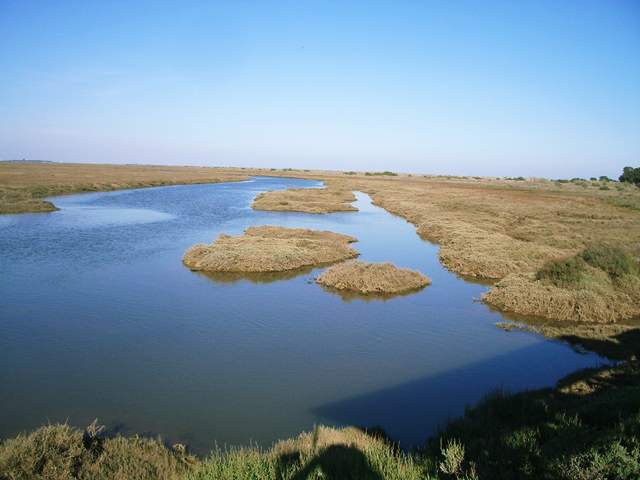 Image 23