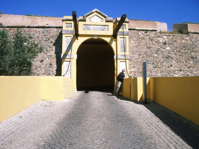 Image 24