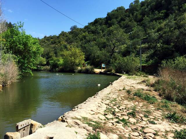 Image 12