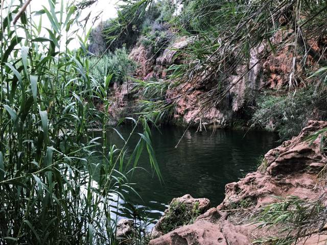 Image 6