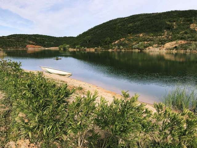 Image 15