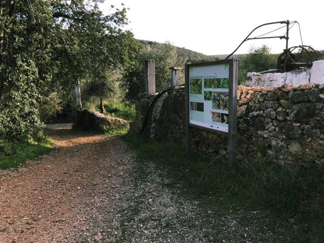 Image 21