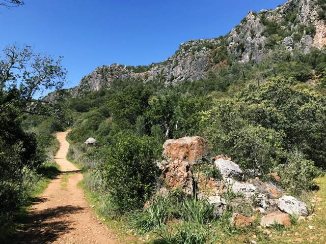 Image 22