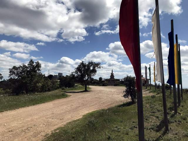 Image 30