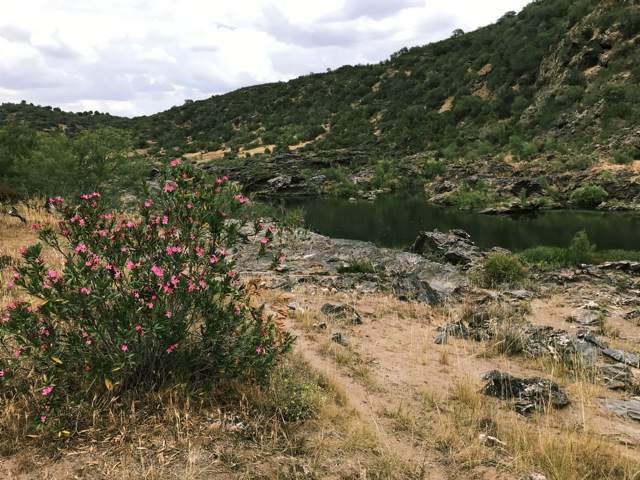 Image 23